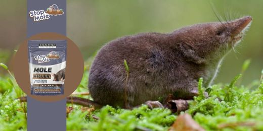 Tretman Stop Mole: Prikladan za sve vrste tla i klime?